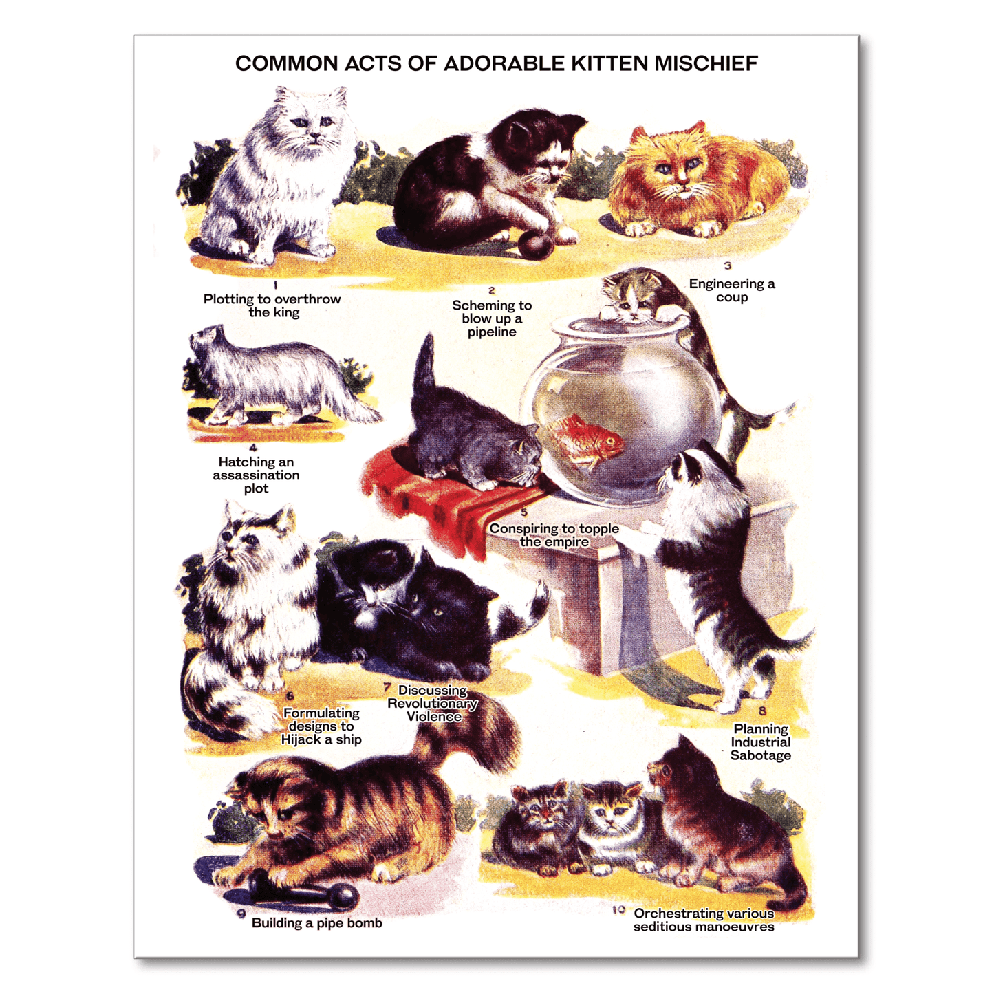 Lumaprints Poster “Adorable Kitten Mischief” poster