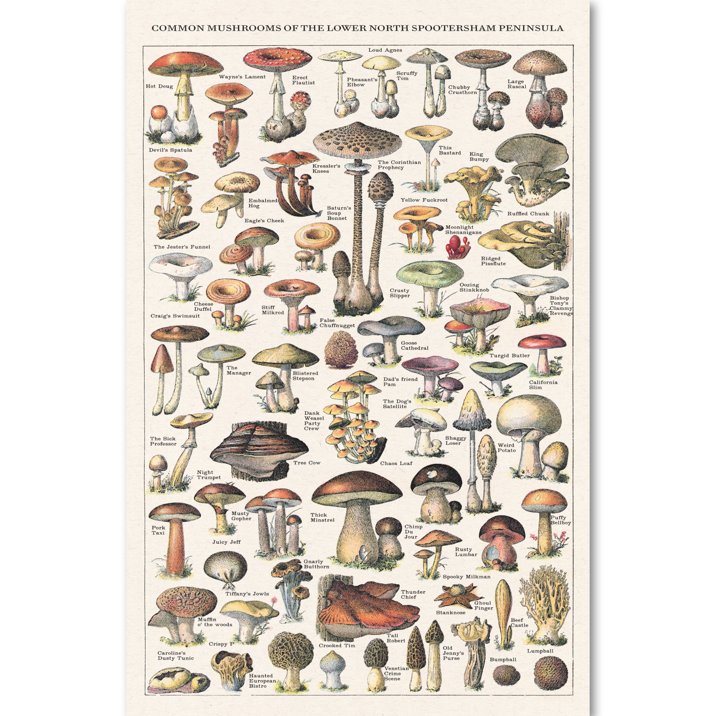 "Common Mushrooms" Risograph Poster