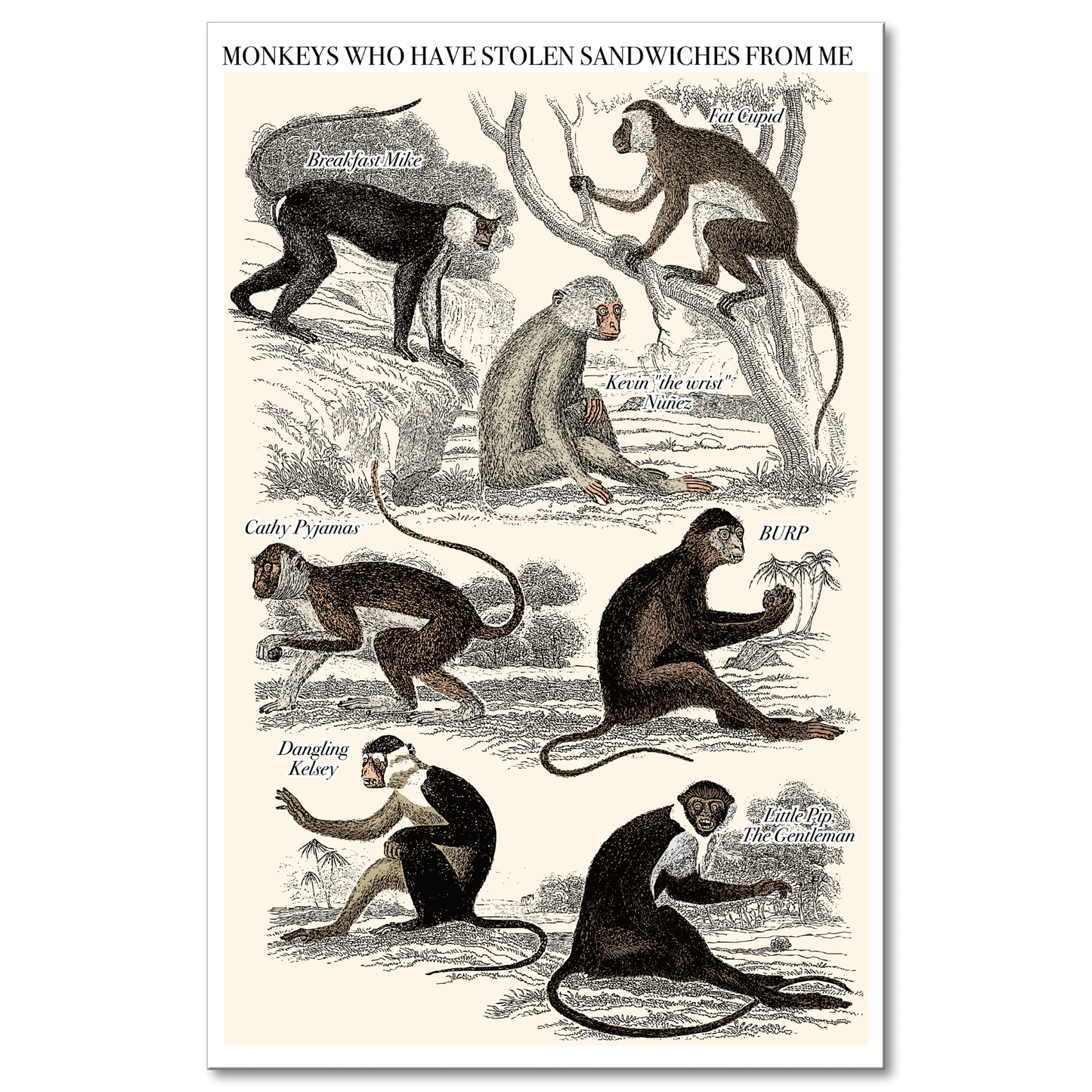 Lumaprints Poster "Monkeys Who Have Stolen Sandwiches From Me" Poster