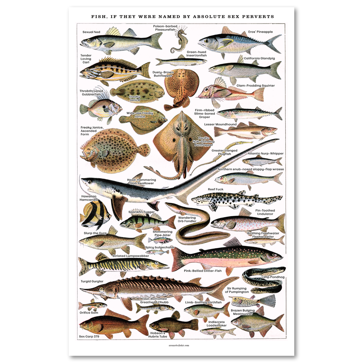 "Fish, If They Were Named By Absolute Sex Perverts" Risograph Poster