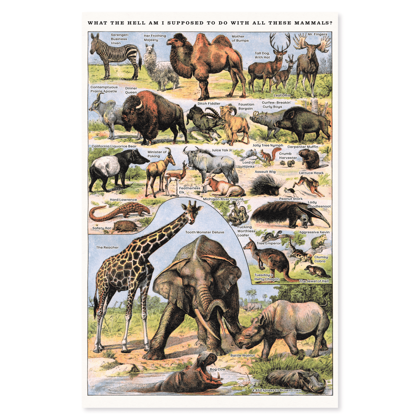 Arcane Bullshit Poster "Mammals" Risograph Poster