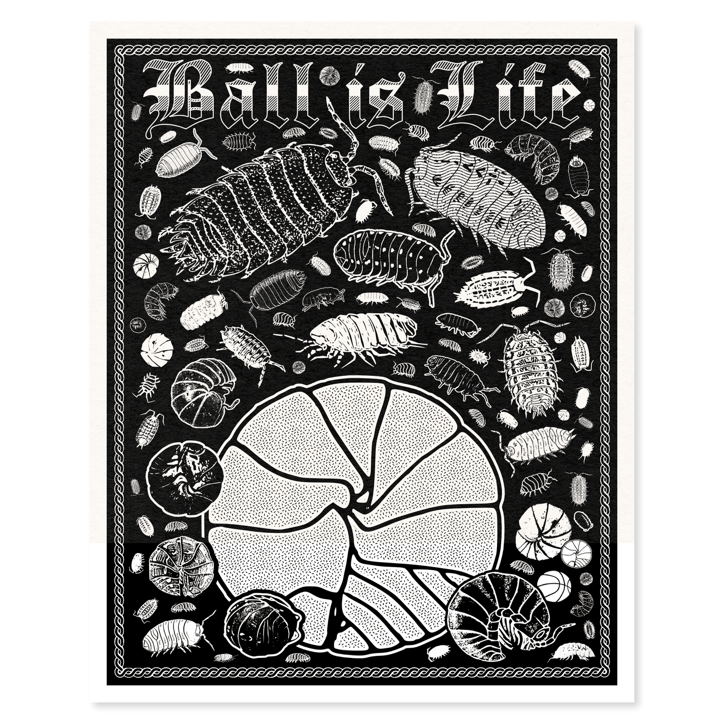 Arcane Bullshit "Ball is Life" Poster