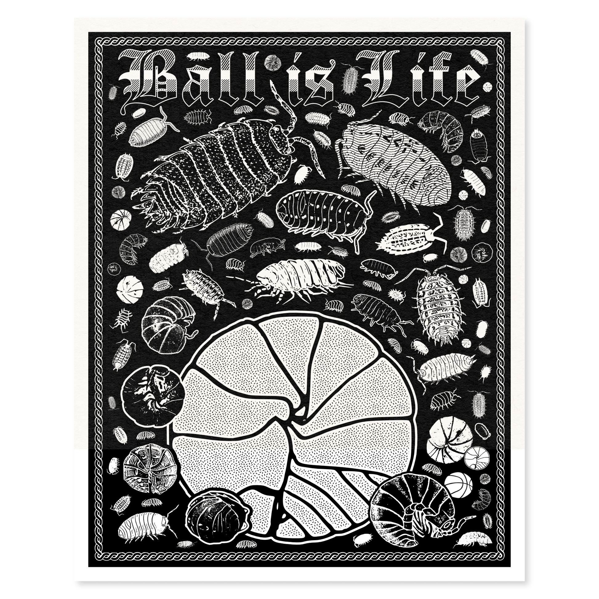 Arcane Bullshit "Ball is Life" Poster