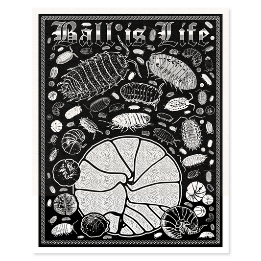 Arcane Bullshit "Ball is Life" Poster