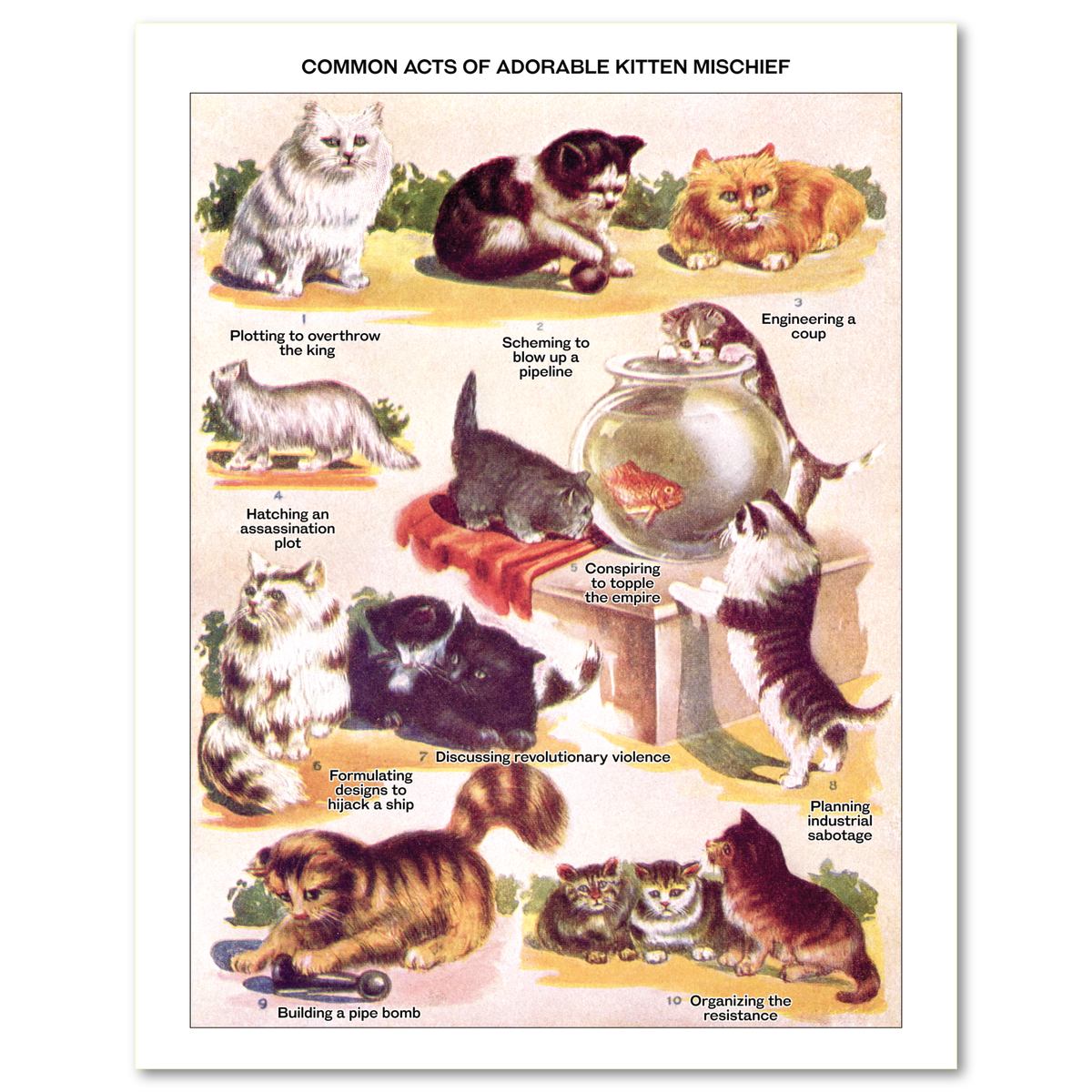 "Adorable Kitten Mischief" Risograph Poster