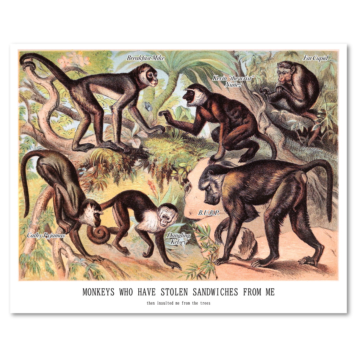 "Monkeys Who Have Stolen Sandwiches From Me" Risograph Poster