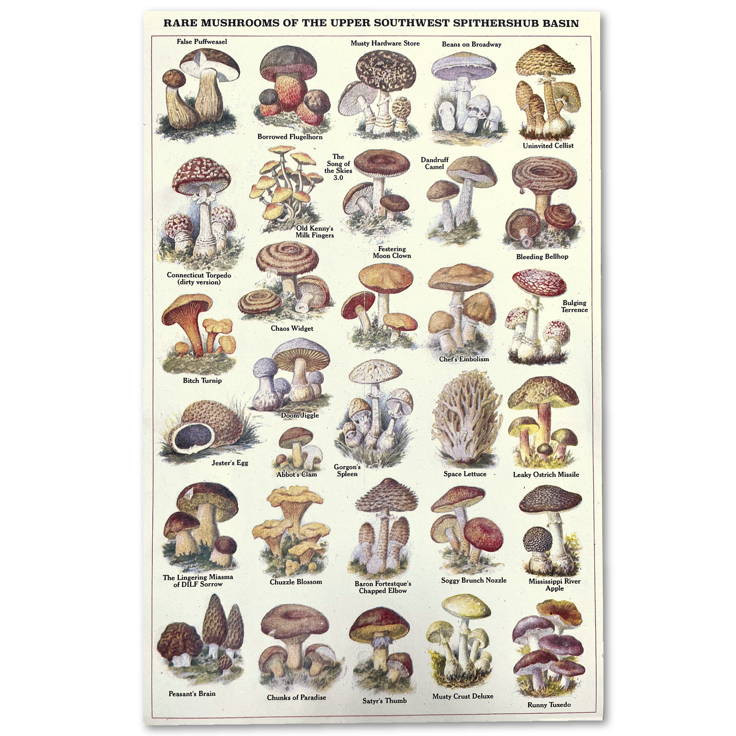 "Rare Mushrooms" Risograph Poster