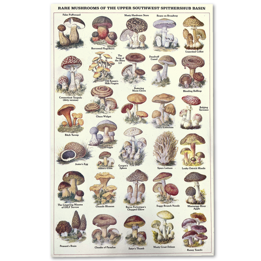 "Rare Mushrooms" Risograph Poster