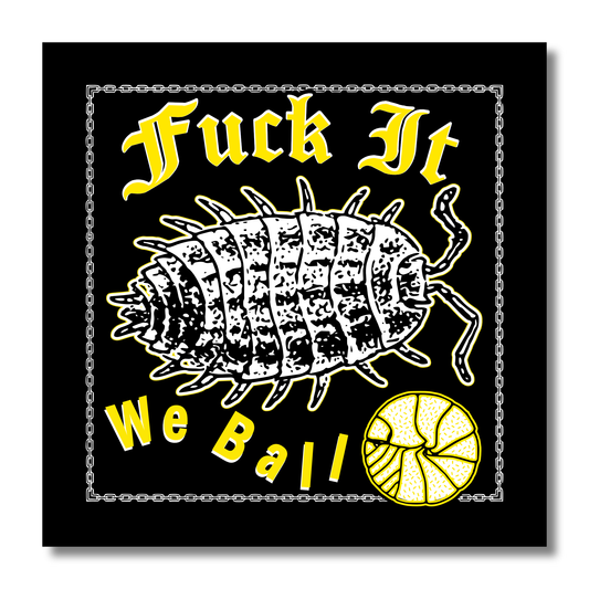 "Fuck It, We Ball" Fluorescent Vinyl Sticker