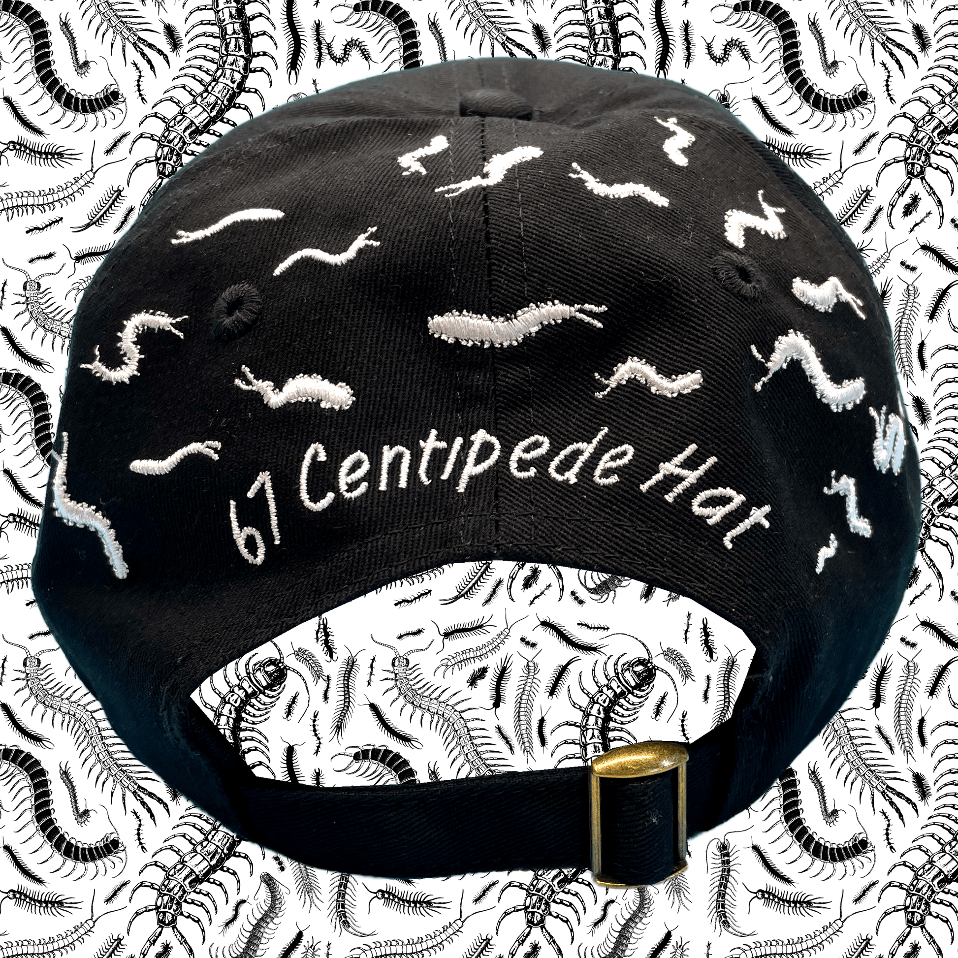 Arcane Bullshit Hat 67 Centipede Hat