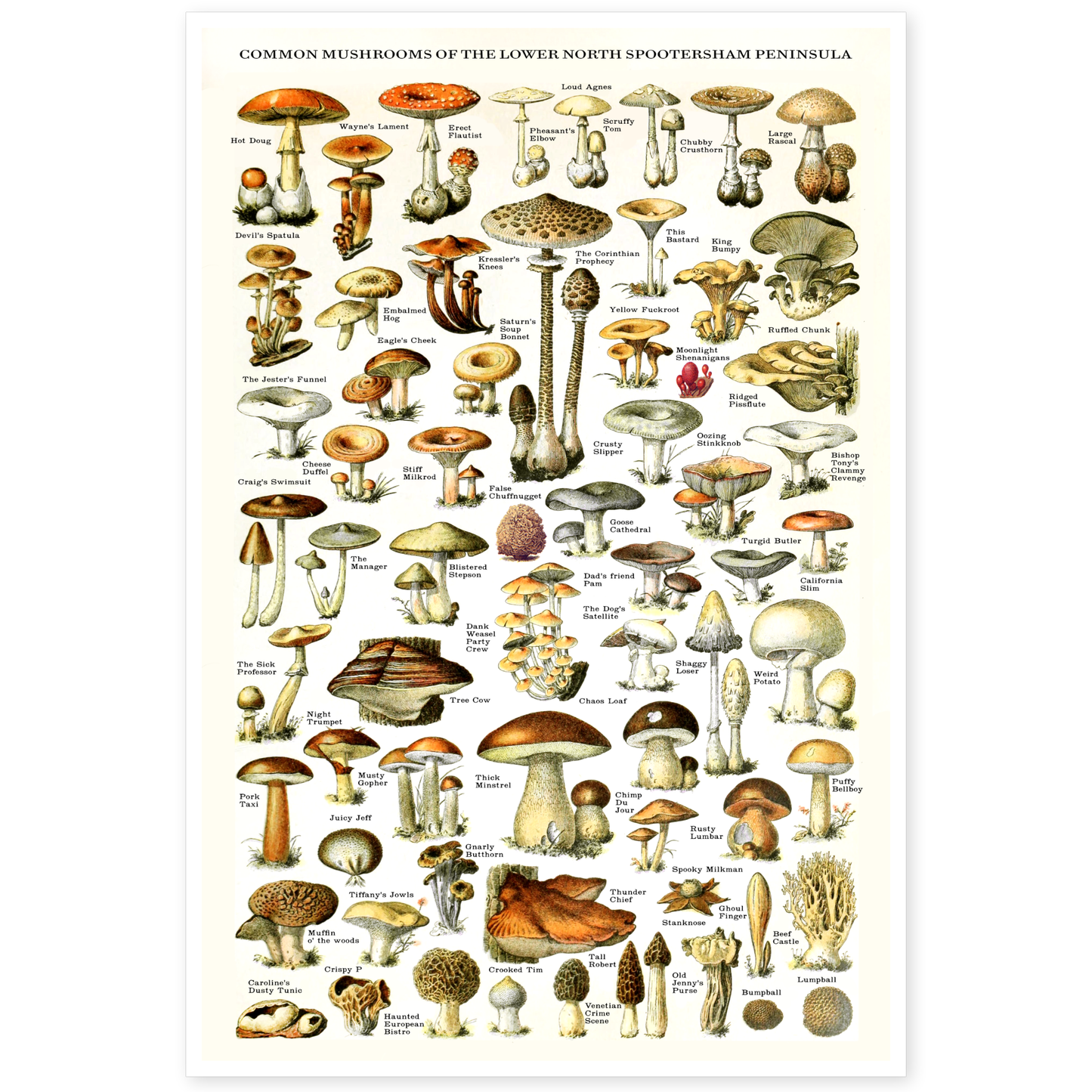 "Common Mushrooms" Risograph Poster