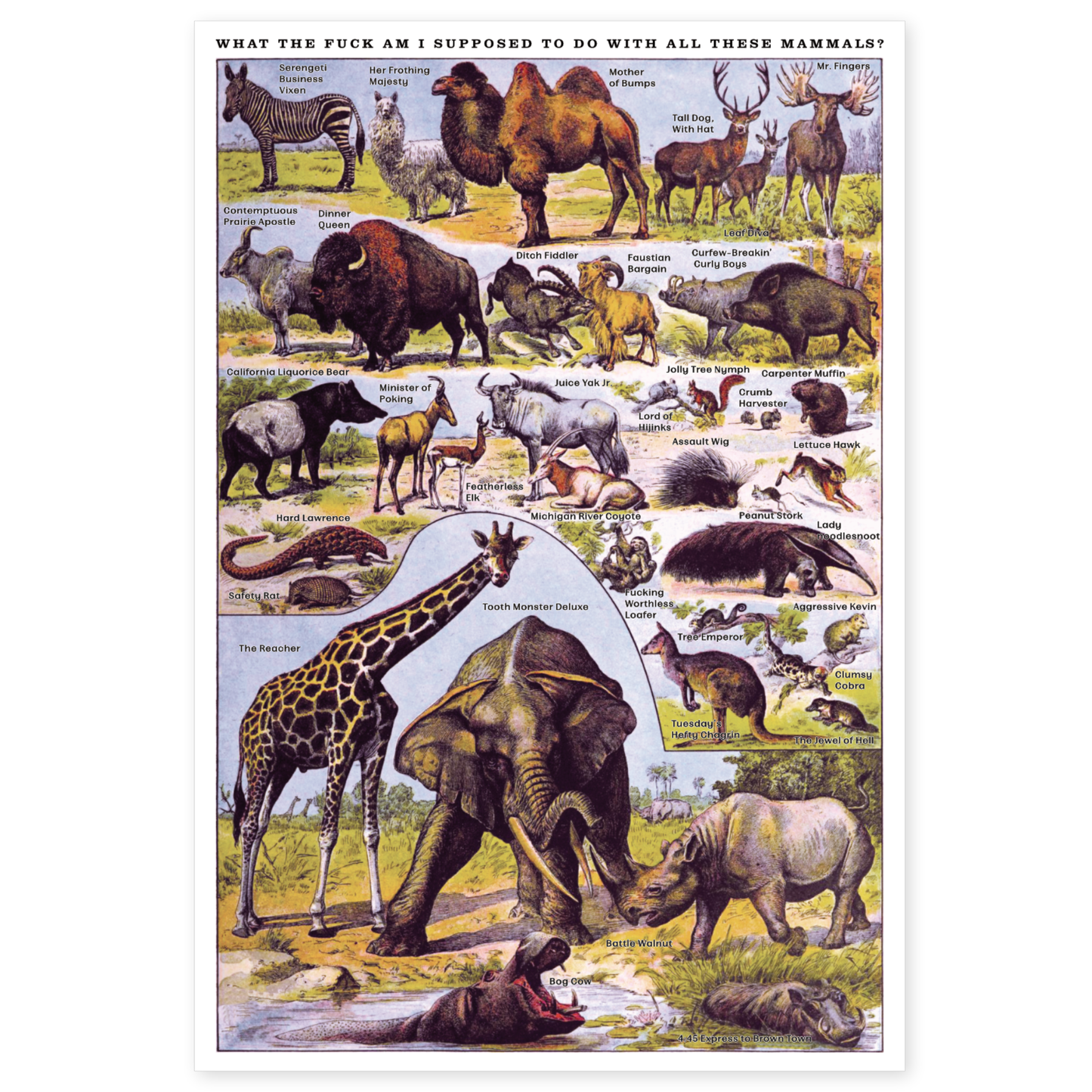 "Mammals" Risograph Poster