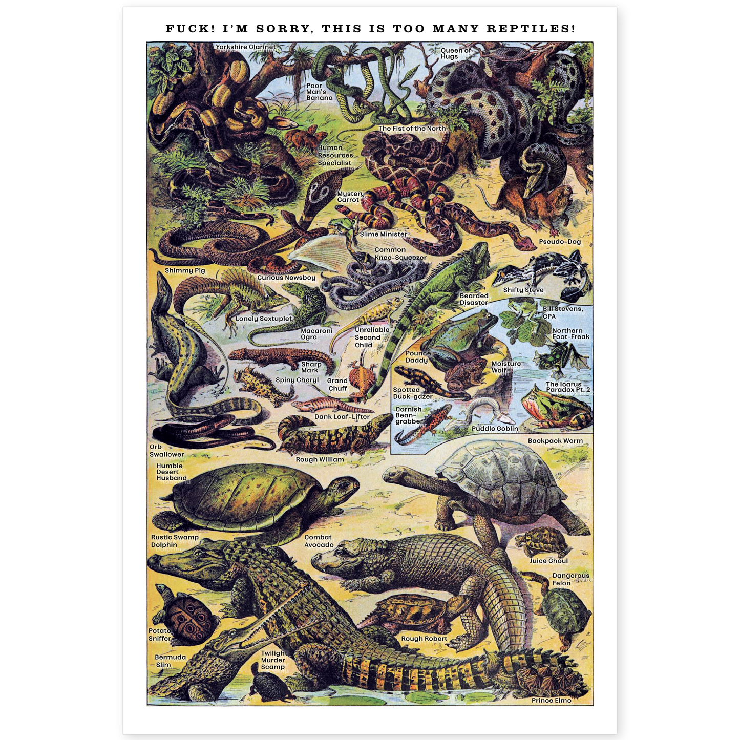 Affiche Risographe "Reptiles" 